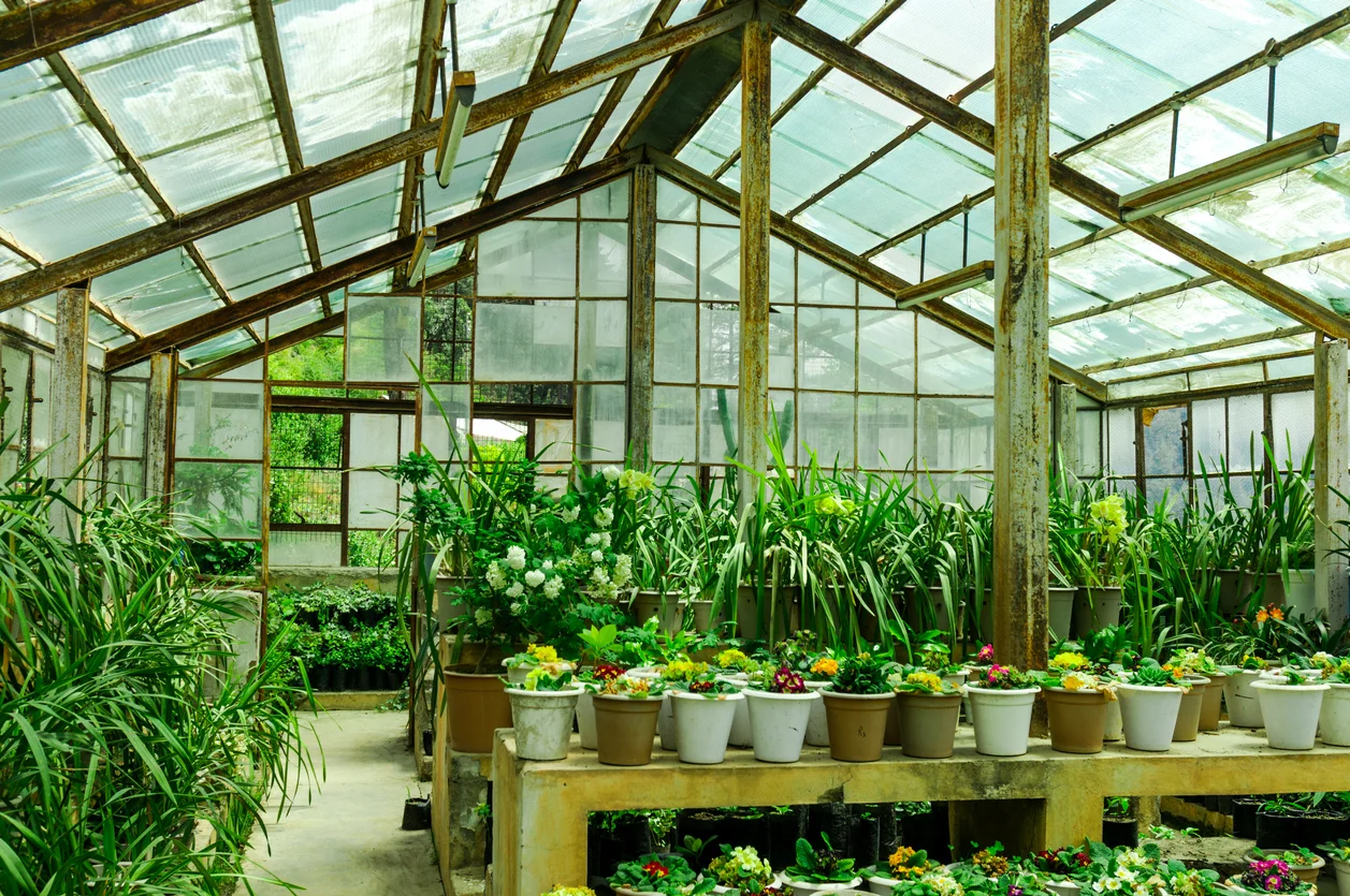 gardenarea